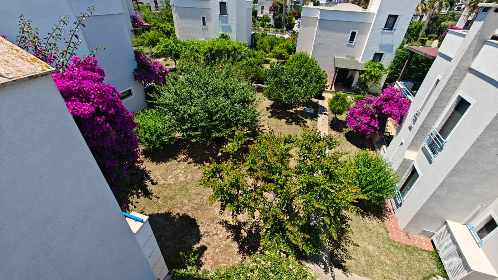 Property in Yalikavak